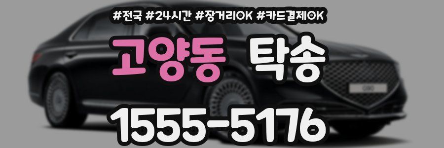 고양동 탁송