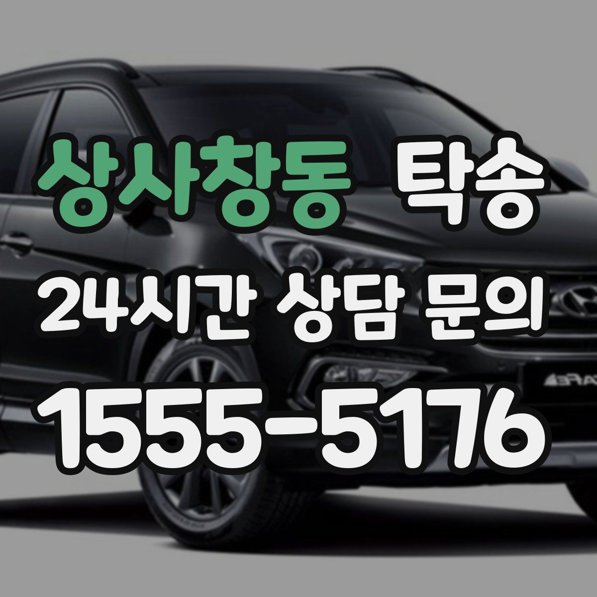 상사창동 탁송 반려동물 동반 차량 사전 준비로 안전