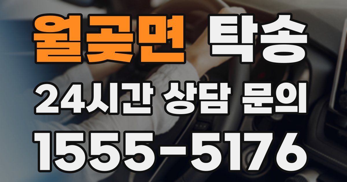 탁송 서비스