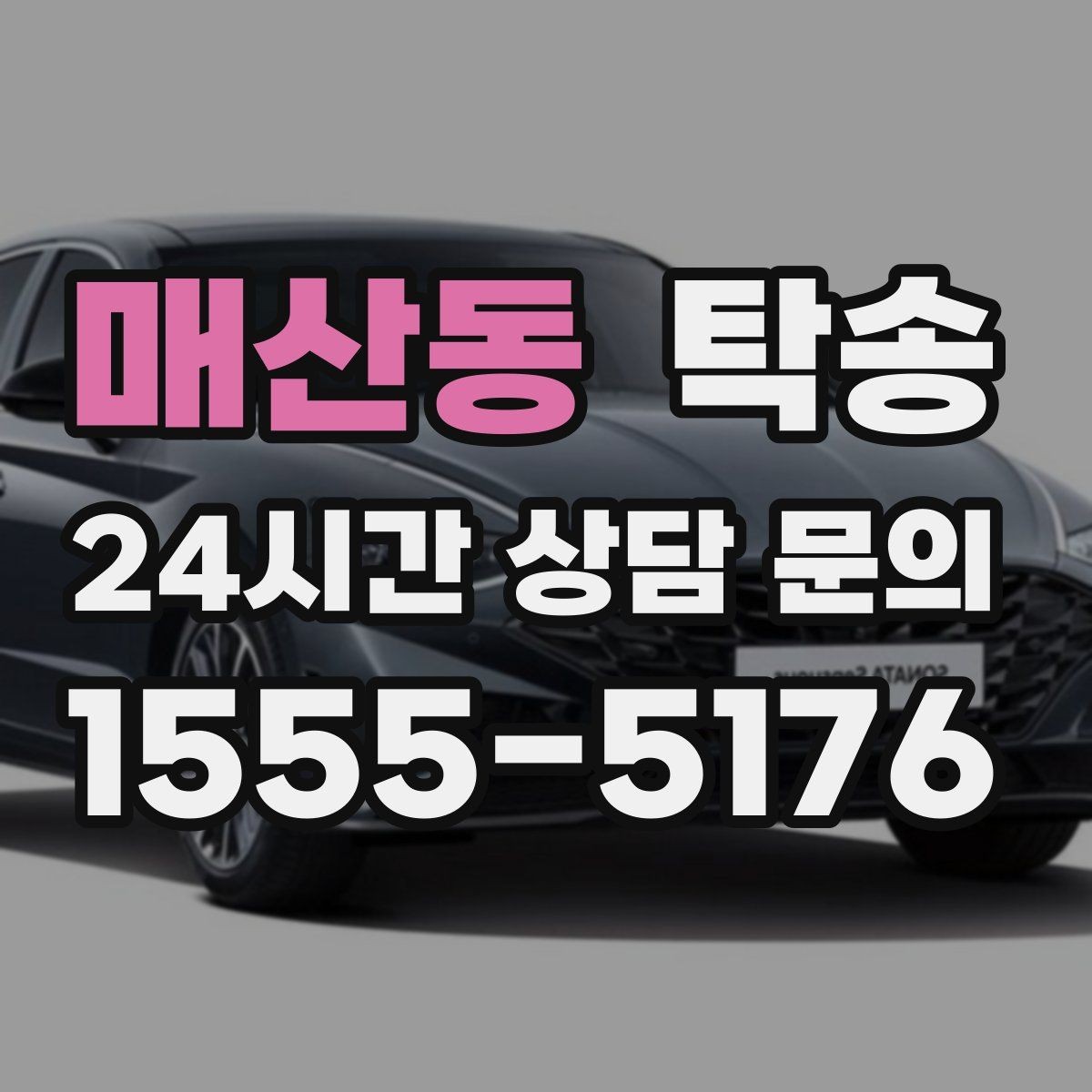매산동 탁송 반려동물 동반 차량 사전 준비로 안전