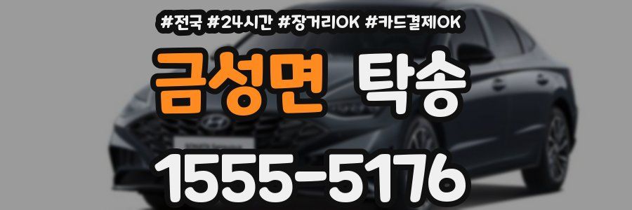 금성면 탁송