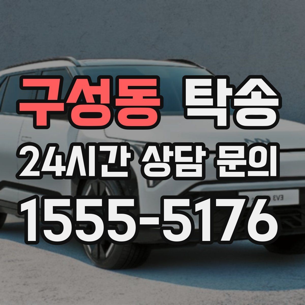 구성동 탁송 반려동물 동반 차량 사전 준비로 안전