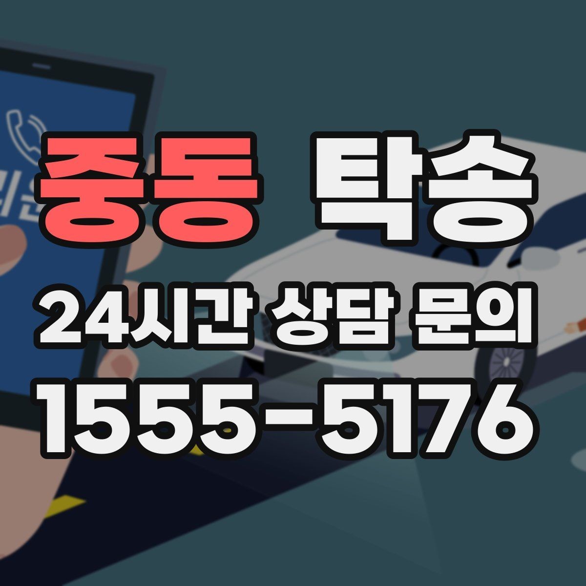 중동 탁송 반려동물 동반 차량 규정 내 안전 진행