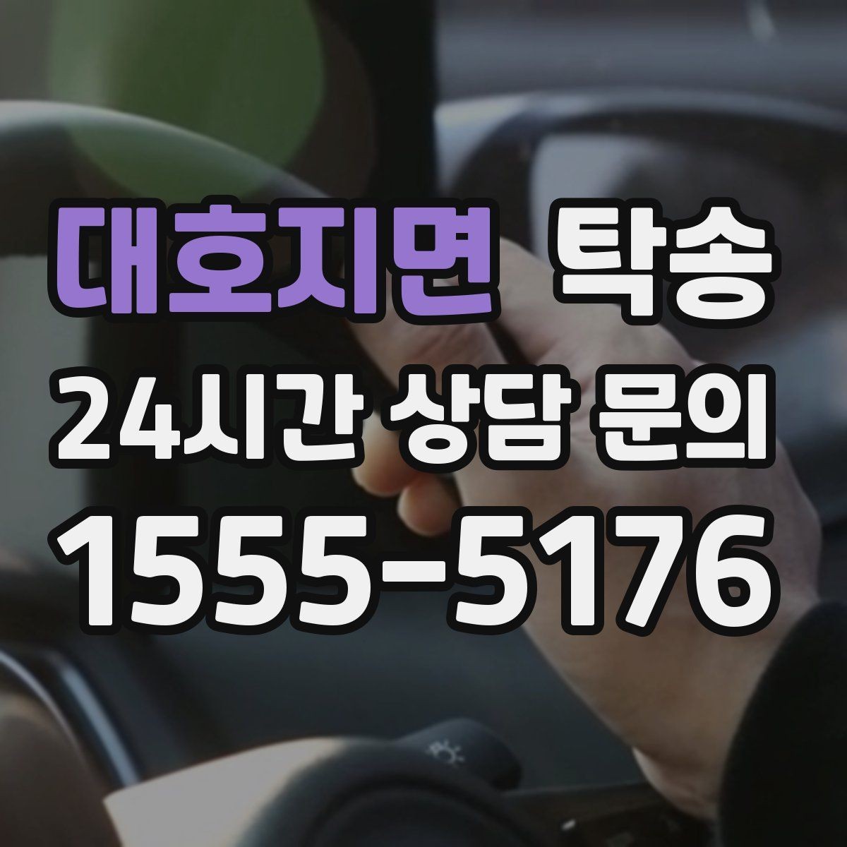 대호지면 탁송 반려동물 동반 차량도 규정 내 진행