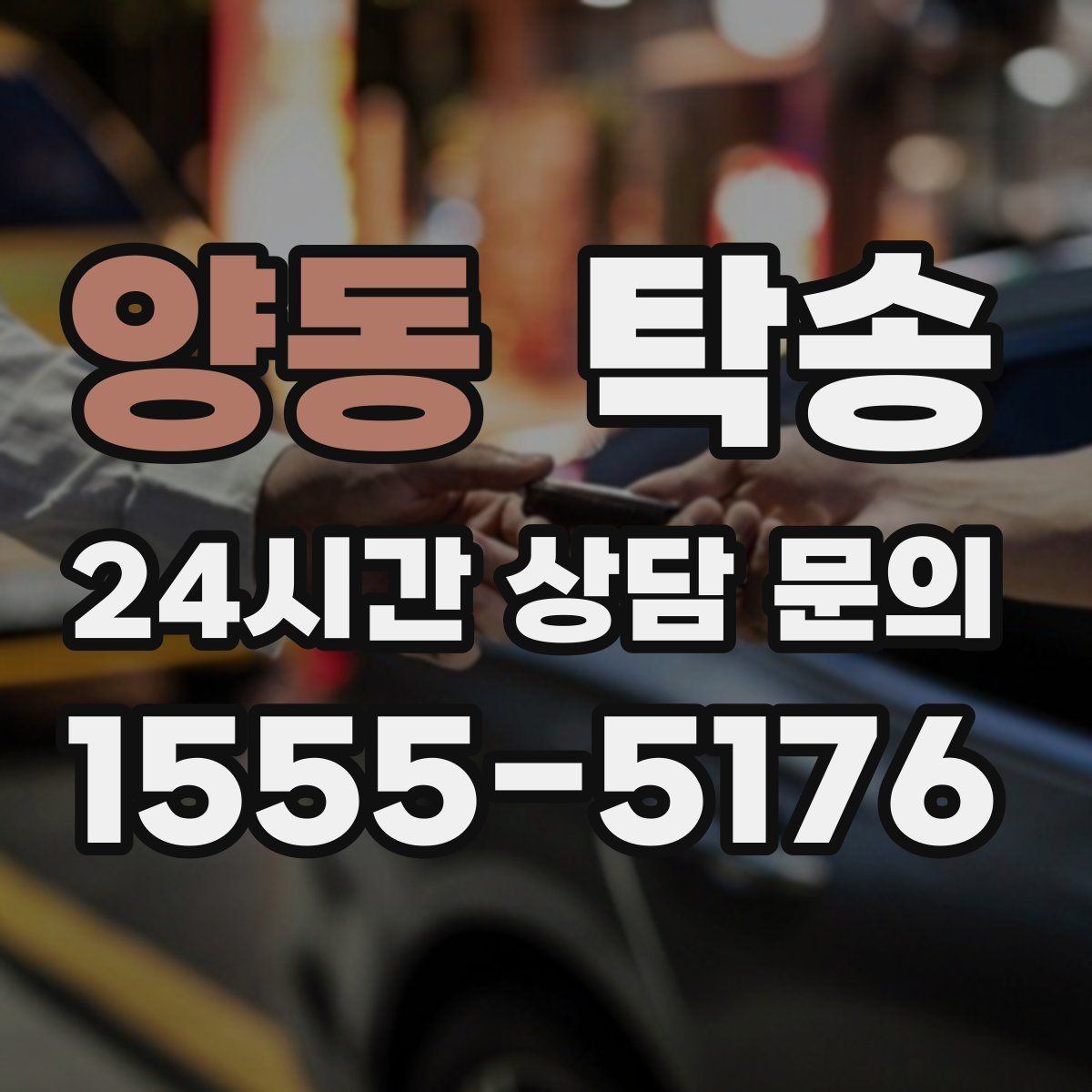 양동 탁송 장비 많은 차량 보호 포장 상의