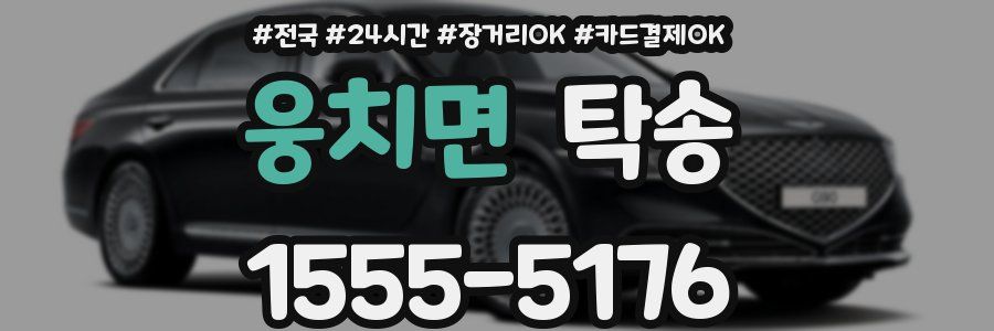 웅치면 탁송