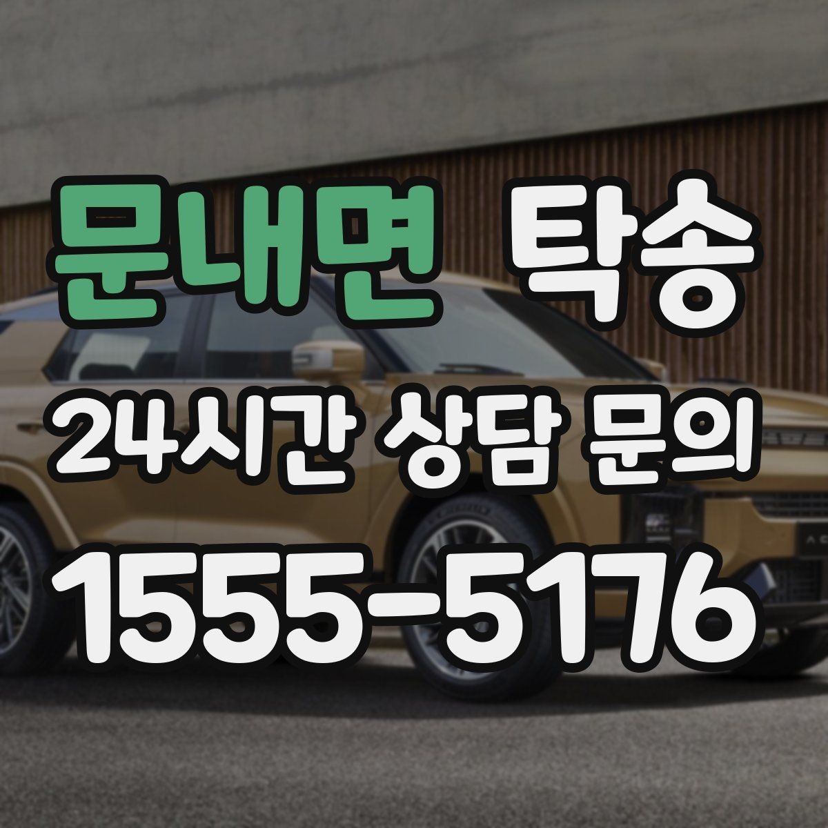 문내면 탁송 반려동물 동반 차량도 규정 내 진행