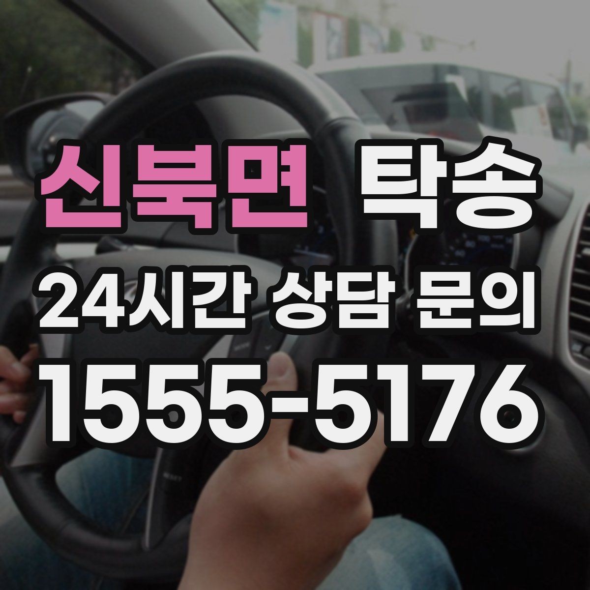 신북면 탁송 반려동물 동반 차량 규정 내 안전 진행