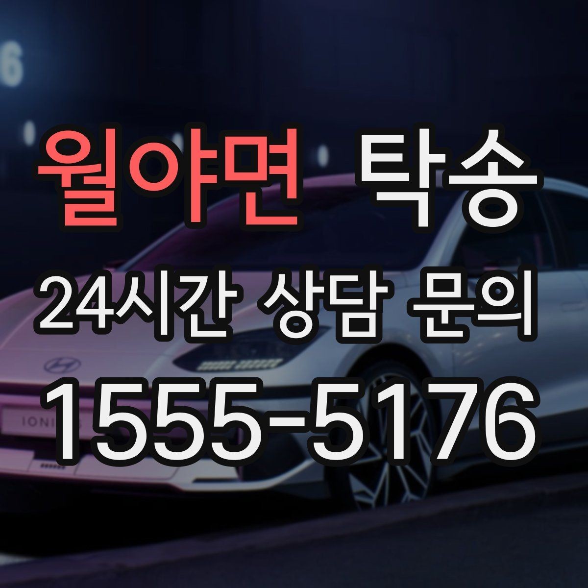 월야면 탁송 반려동물 동반 차량도 규정 내 진행
