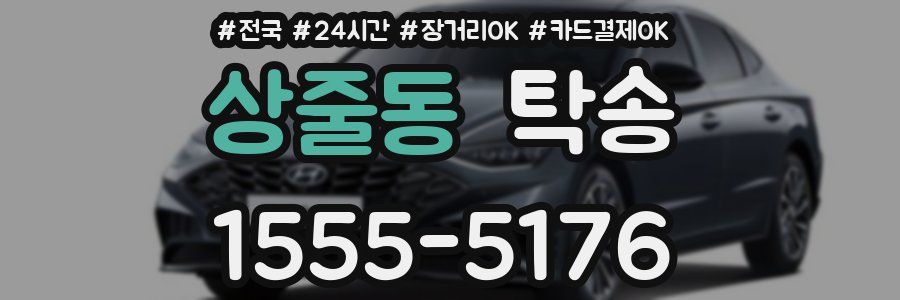 상줄동 탁송
