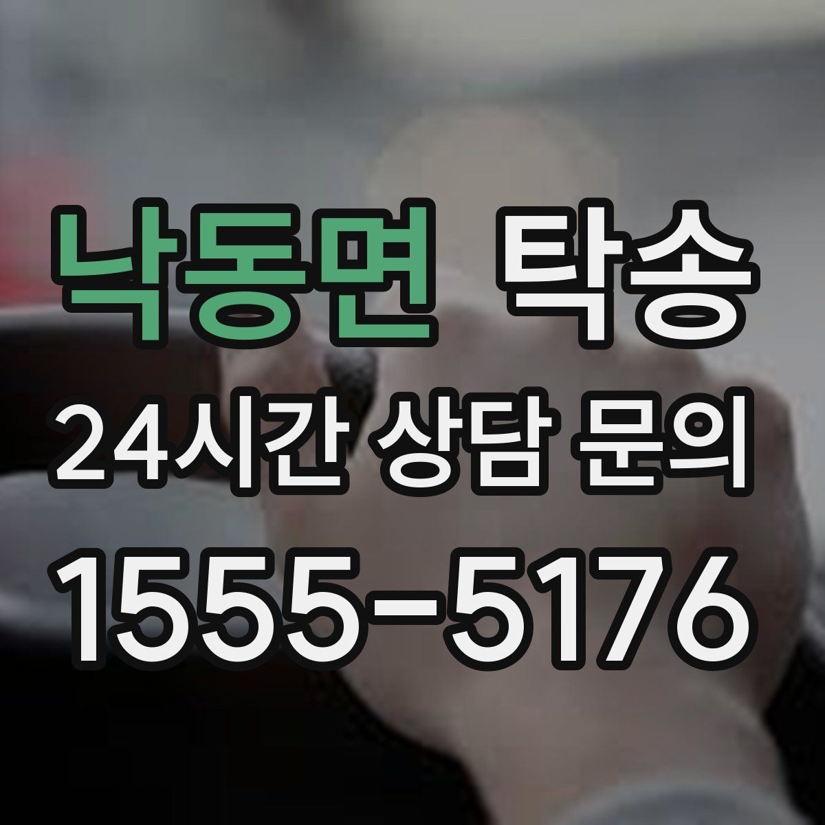 낙동면 탁송 장거리 이전도 시간 약속을 지킵니다