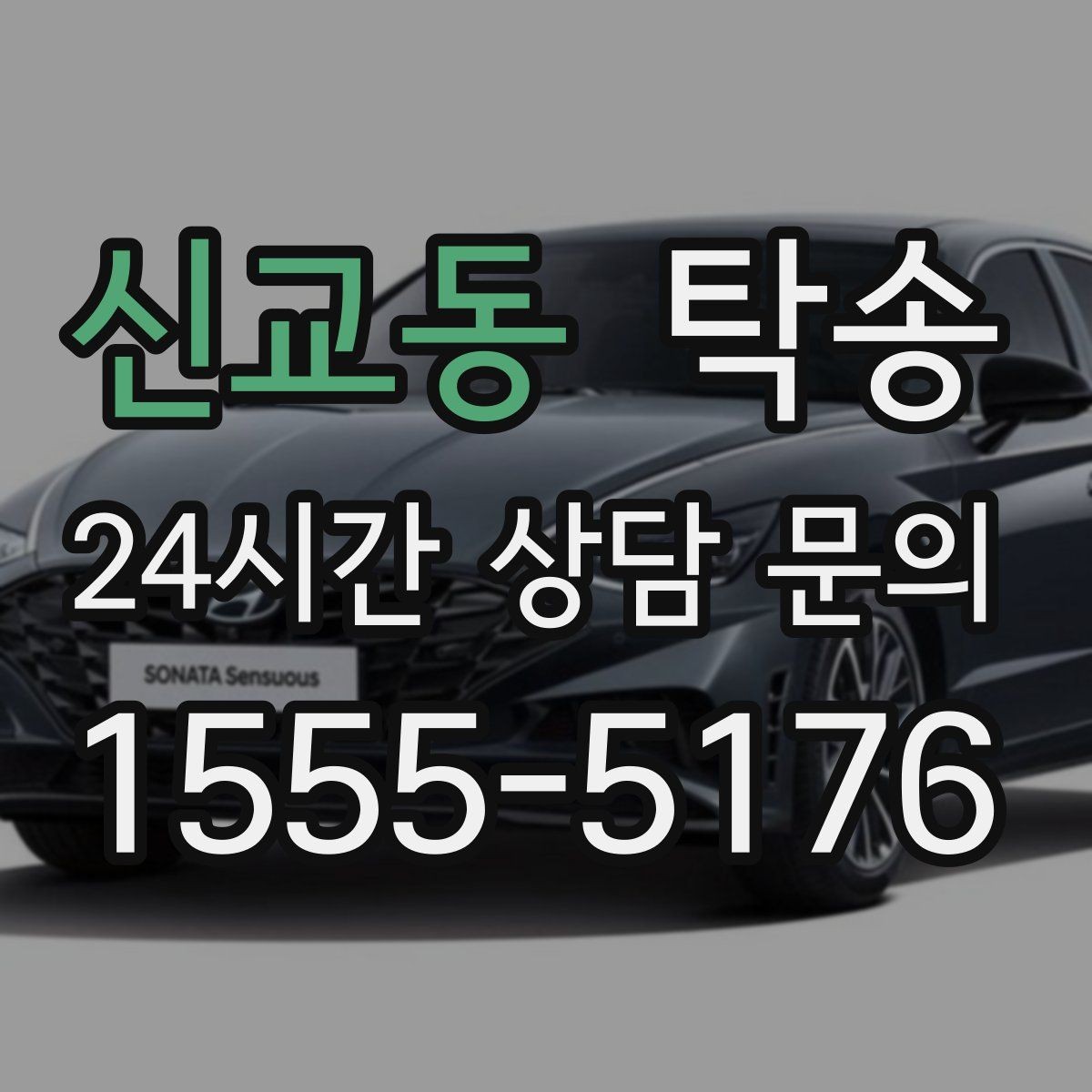 신교동 탁송 반려동물 동반 차량도 규정 내 진행