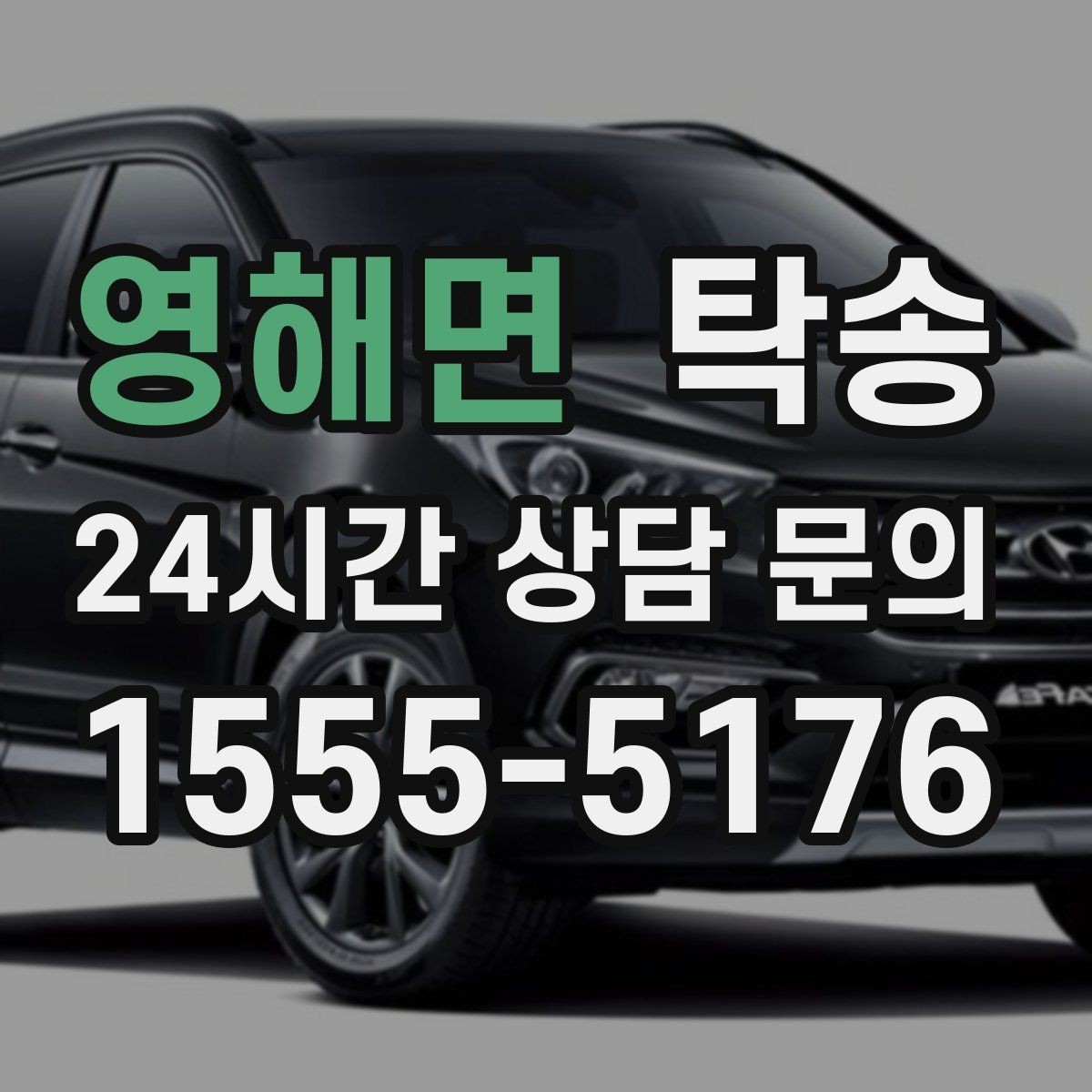 영해면 탁송 전시차 이동 하루 일정 맞춤