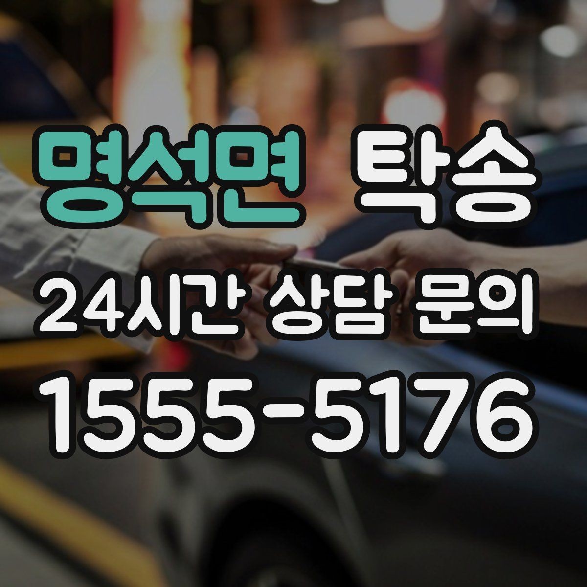 명석면 탁송 반려동물 동반 차량 사전 준비로 안전