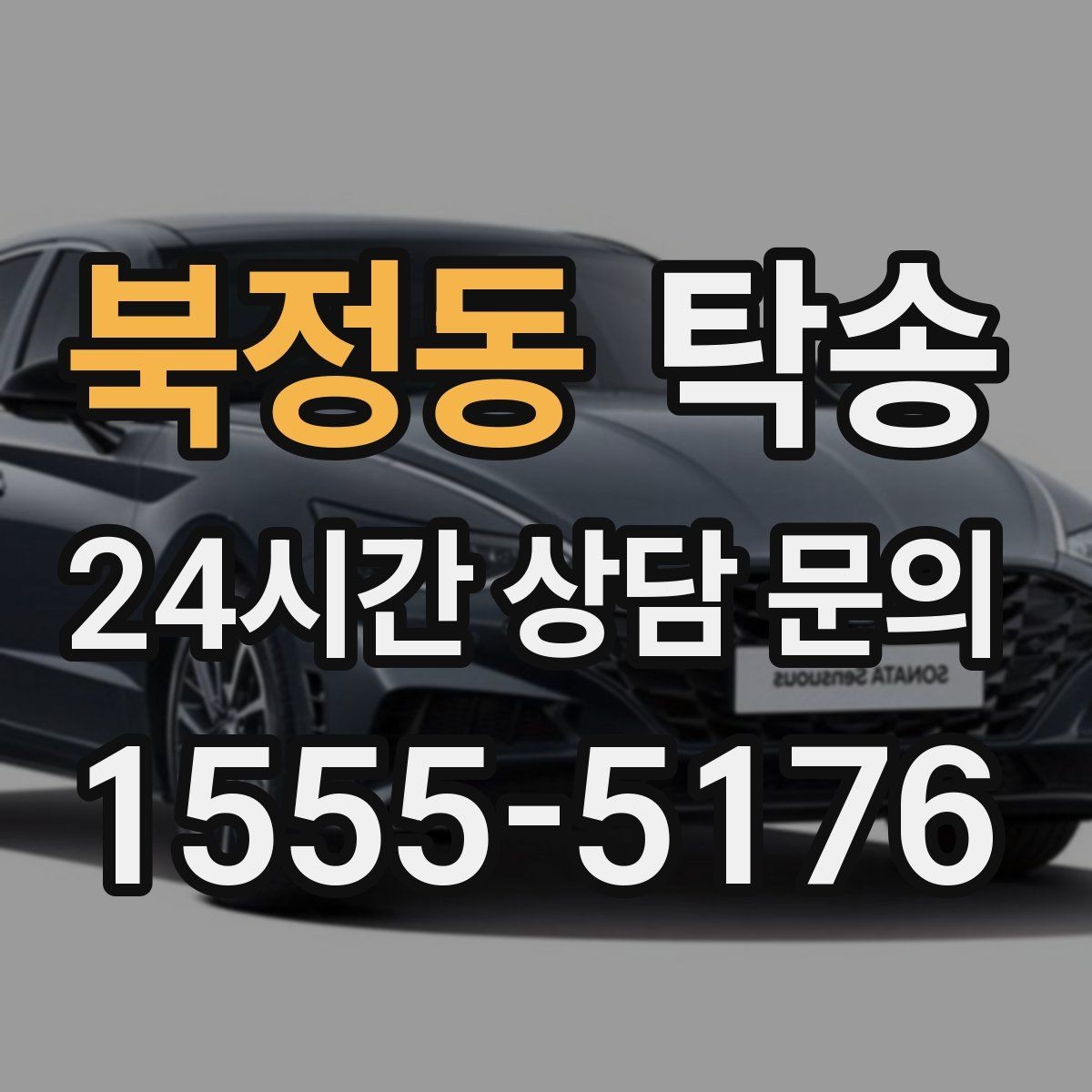 북정동 탁송 전시차 이동 하루 일정 맞춤
