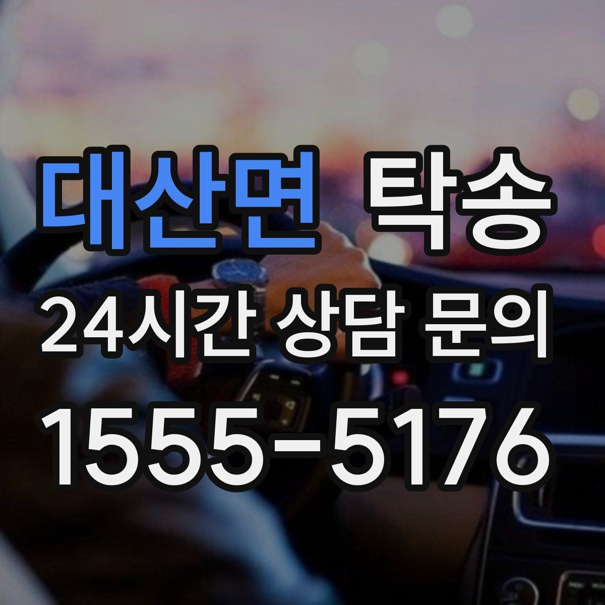 대산면 탁송 반려동물 동반 차량 규정 내 안전 진행
