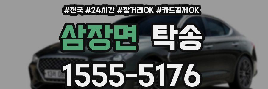 삼장면 탁송