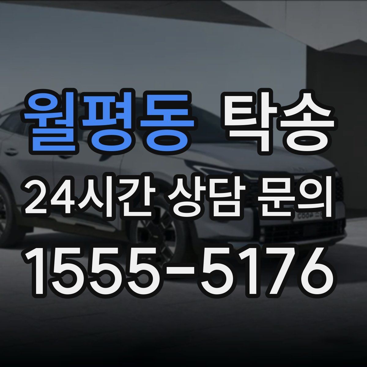 월평동 탁송 반려동물 동반 차량 규정 내 안전 진행