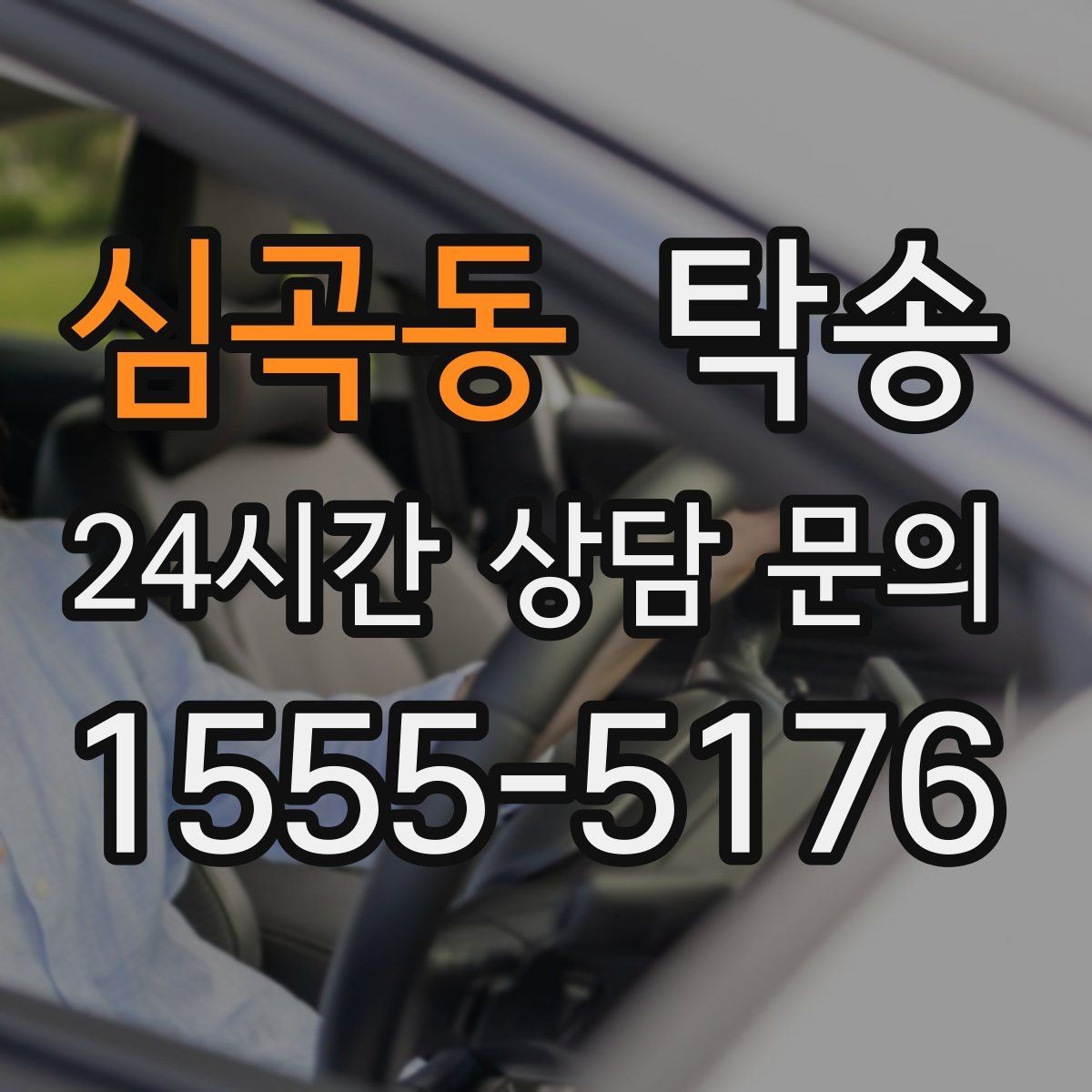 심곡동 탁송 반려동물 동반 차량 사전 준비로 안전