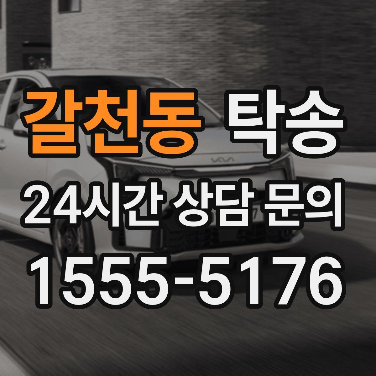 갈천동 탁송 반려동물 동반 차량 사전 준비로 안전