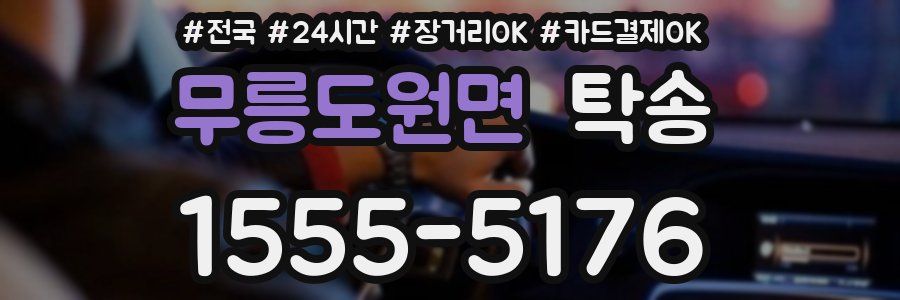 무릉도원면 탁송