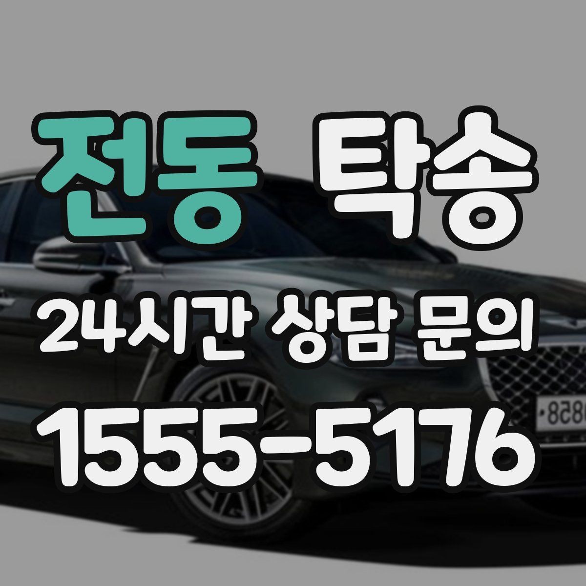 전동 탁송 반려동물 동반 차량도 규정 내 진행