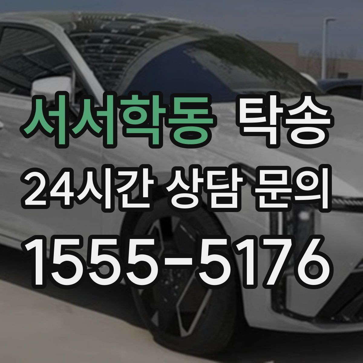 서서학동 탁송 반려동물 동반 차량 규정 내 안전 진행