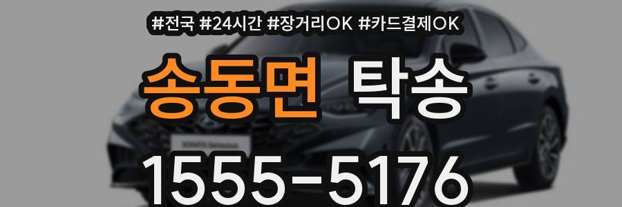 송동면 탁송