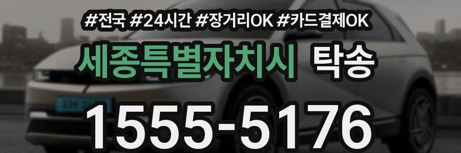 세종특별자치시 탁송