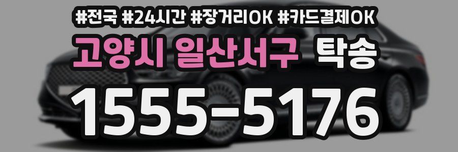 고양시 일산서구 탁송