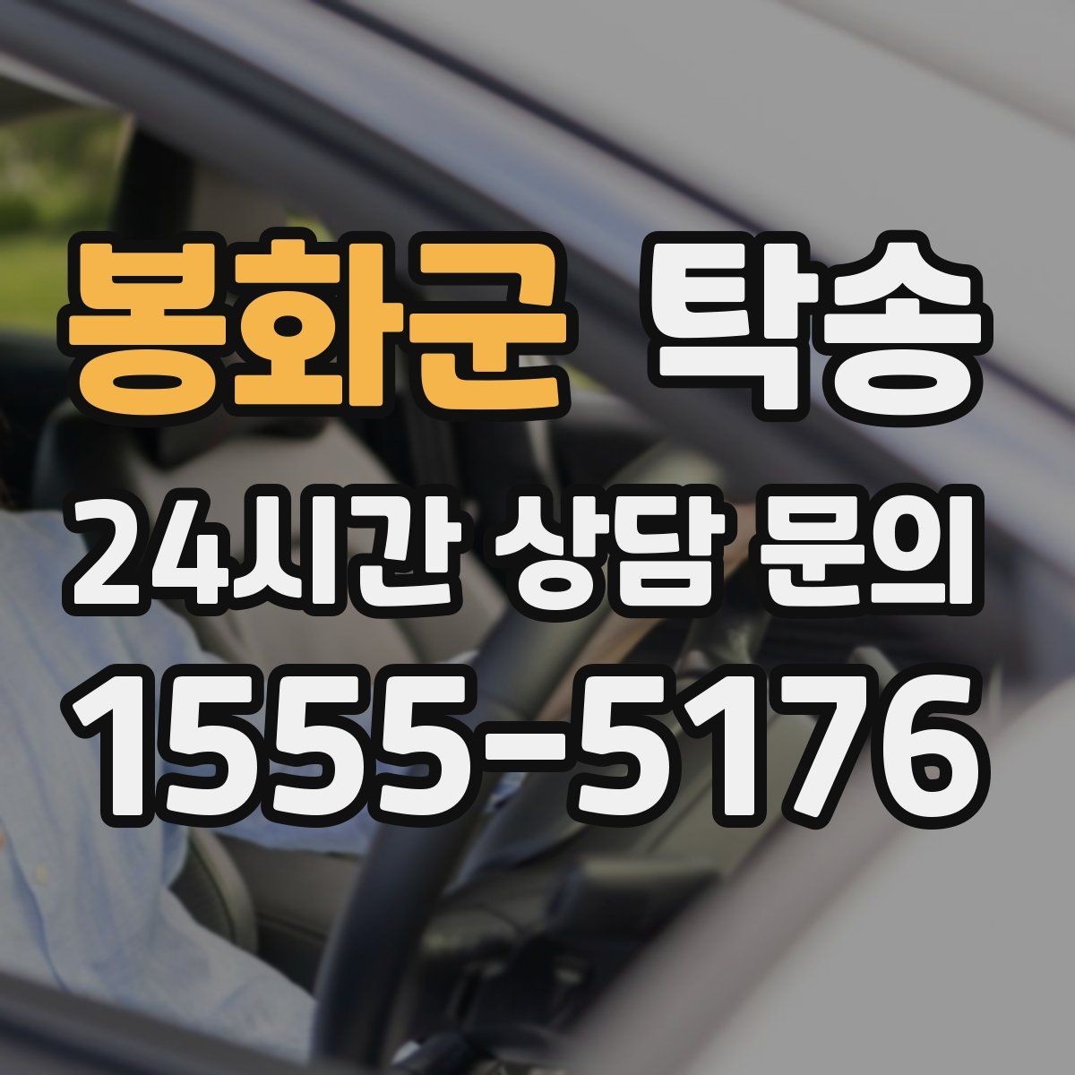 봉화군 탁송 진행 상황이 보이는 단계별 안내