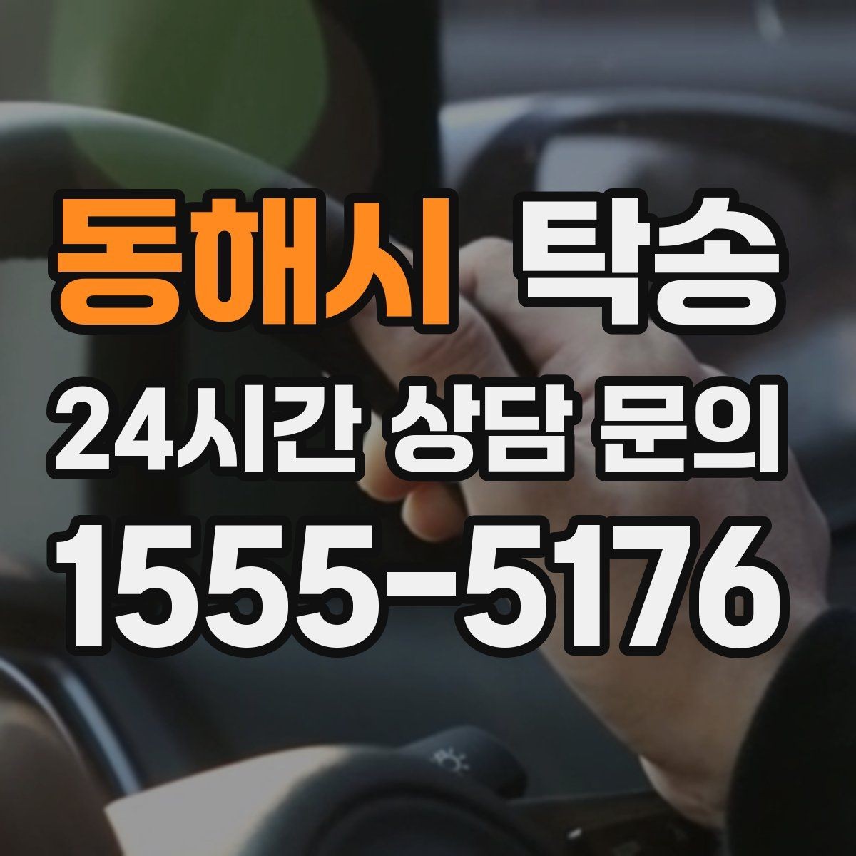 동해시 탁송 전시장 간 전시차 일정 연계