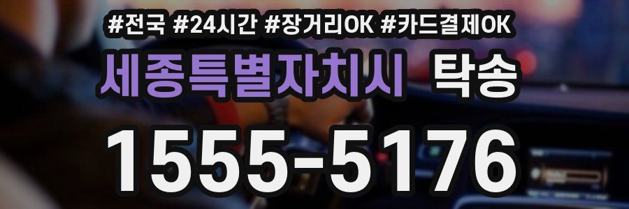 세종특별자치시 탁송