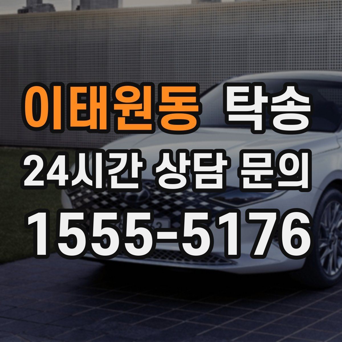 이태원동 탁송 반려동물 동반 차량 규정 내 안전 진행