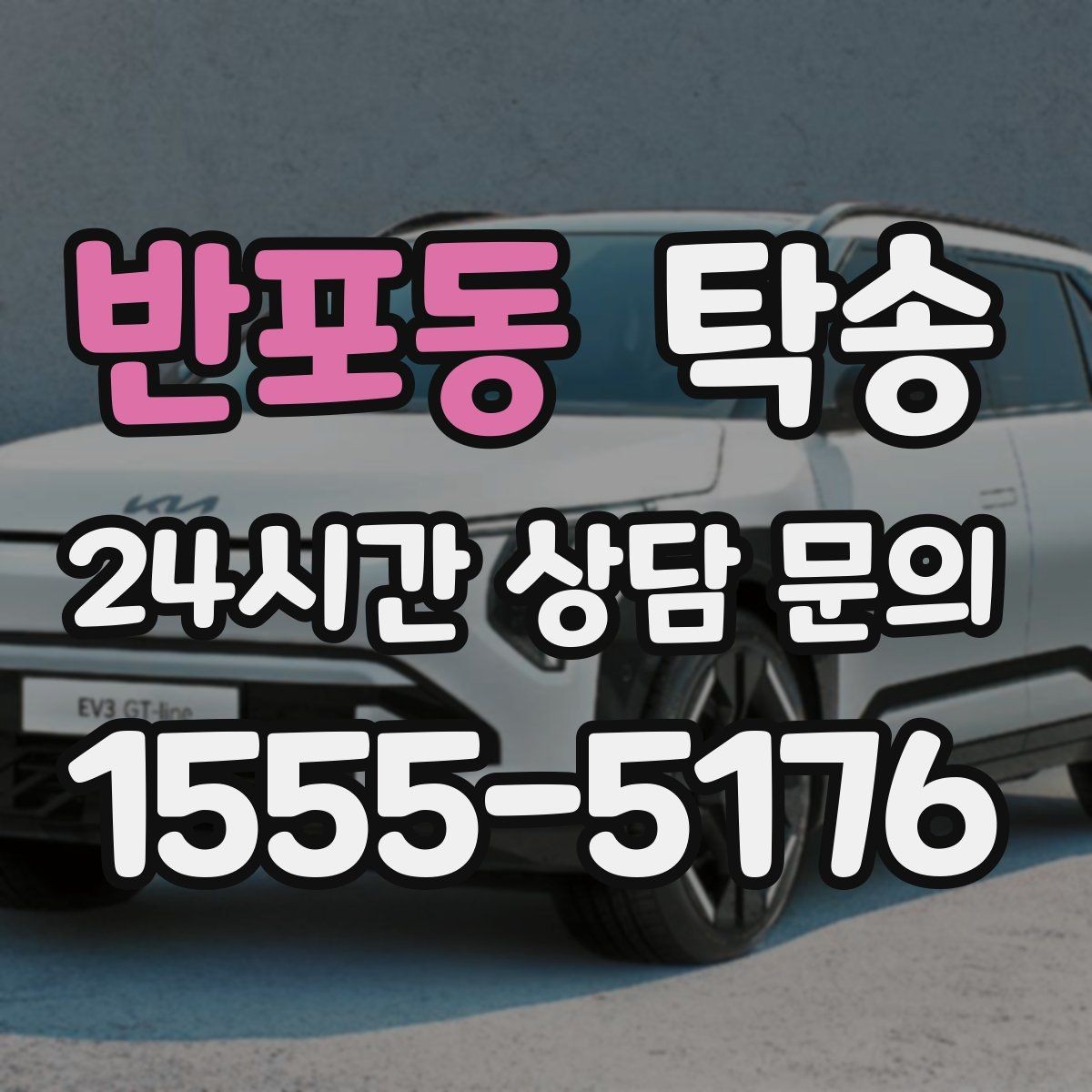 반포동 탁송 반려동물 동반 차량 규정 내 안전 진행