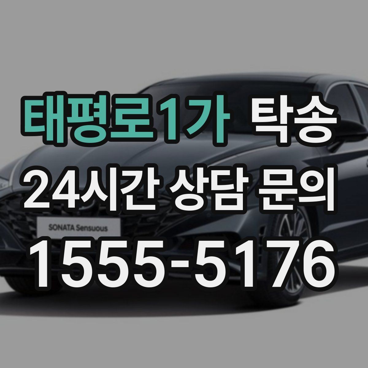 태평로1가 탁송 임시 인도 지점 설정이 가능한 일정