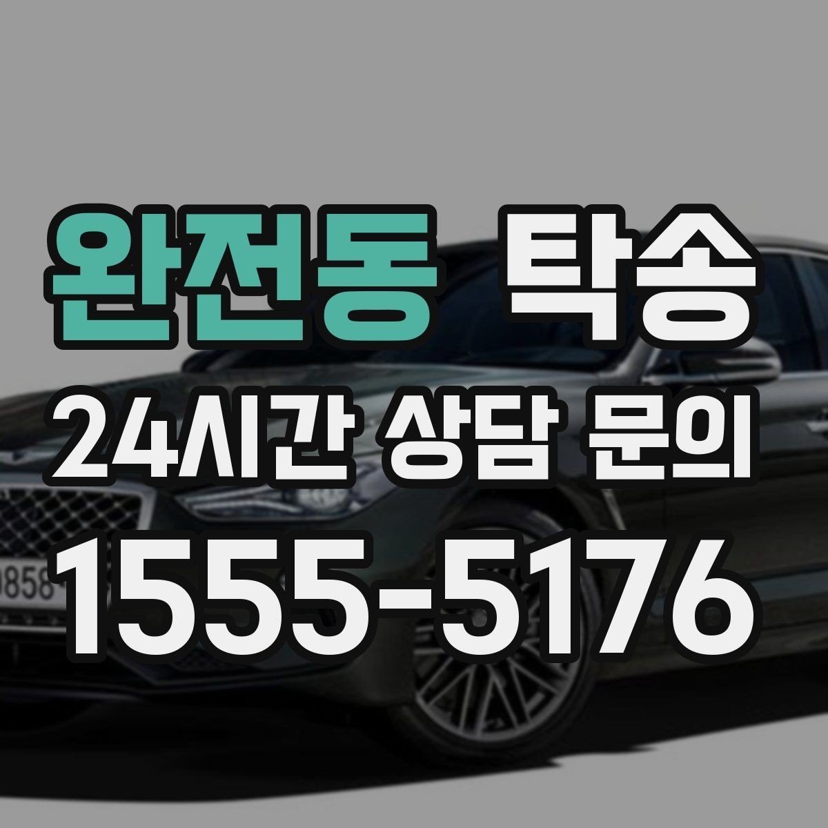 완전동 탁송 전시장 간 이동을 깔끔하게 마무리