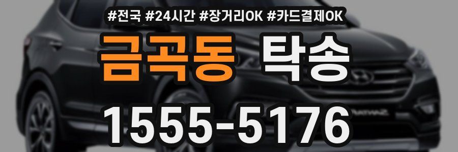 금곡동 탁송