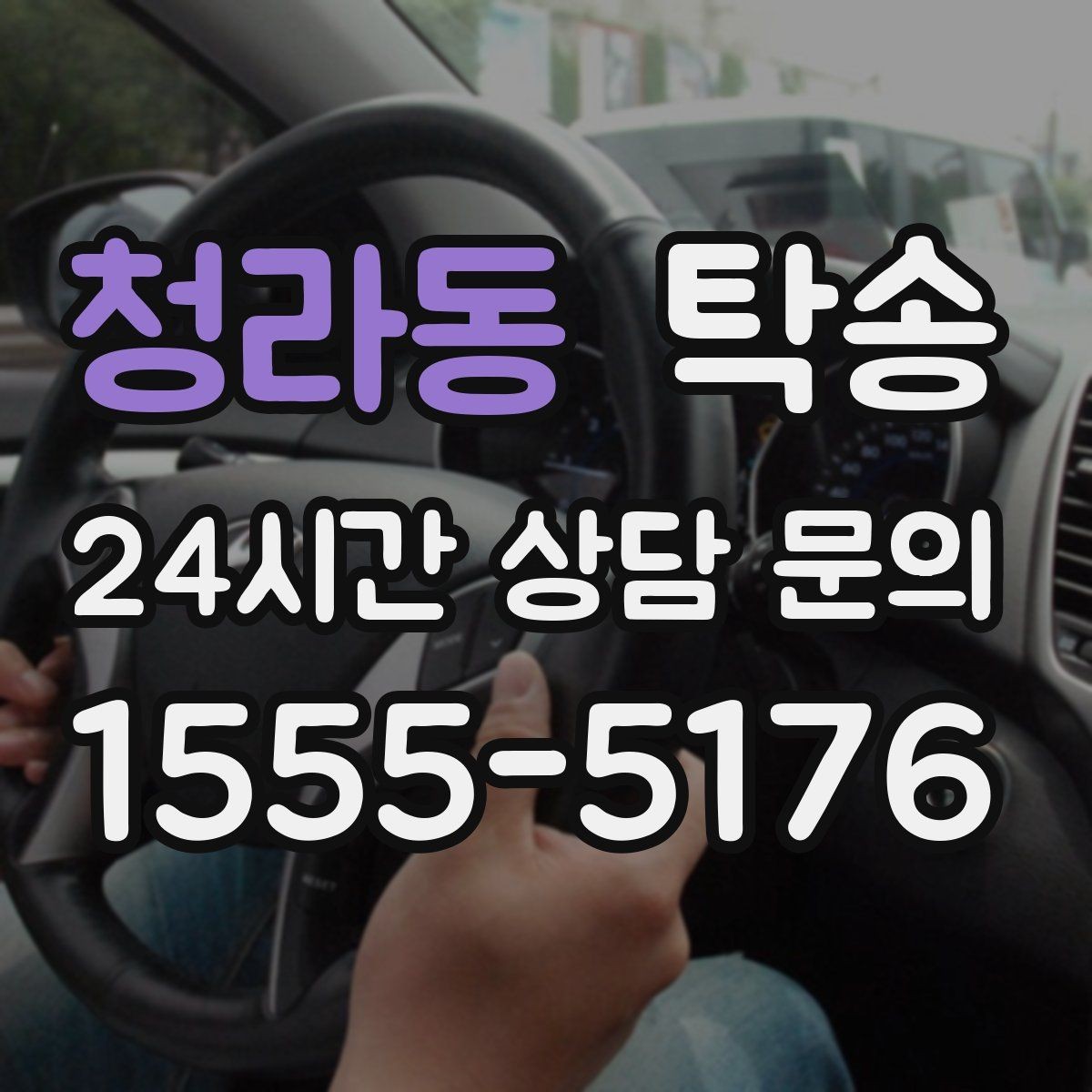 청라동 탁송 반려동물 동반 차량도 규정 내 진행