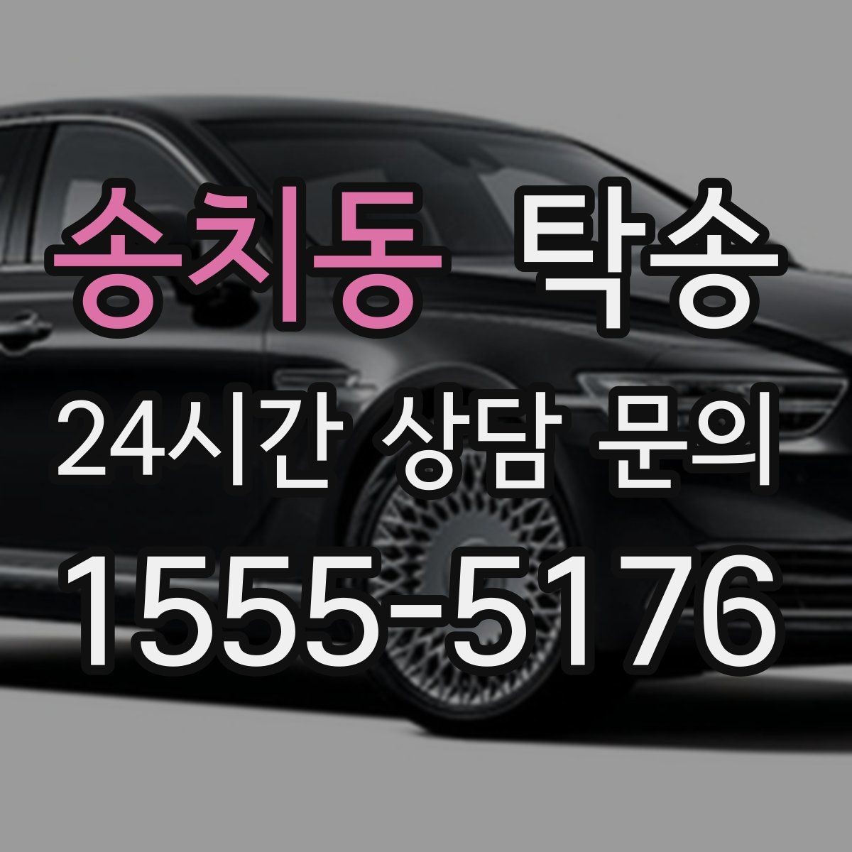 송치동 탁송 장거리 구간도 일정한 운행 품질