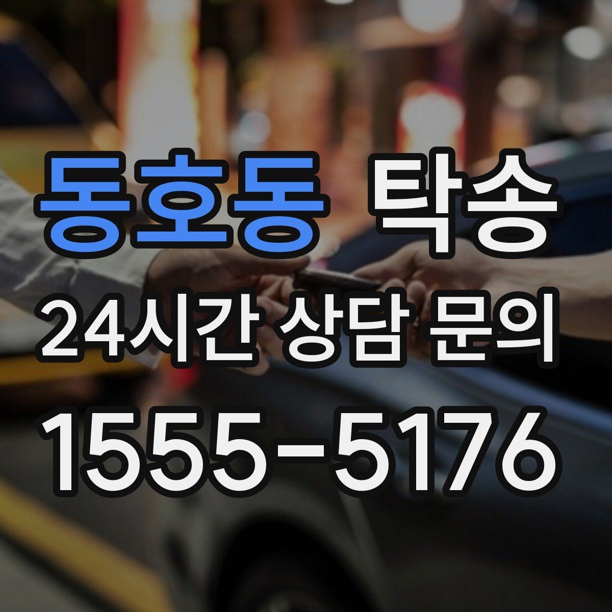 동호동 탁송 반려동물 동반 차량 규정 내 안전 진행