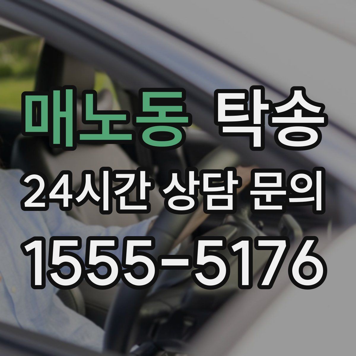 매노동 탁송 반려동물 동반 차량 사전 준비로 안전