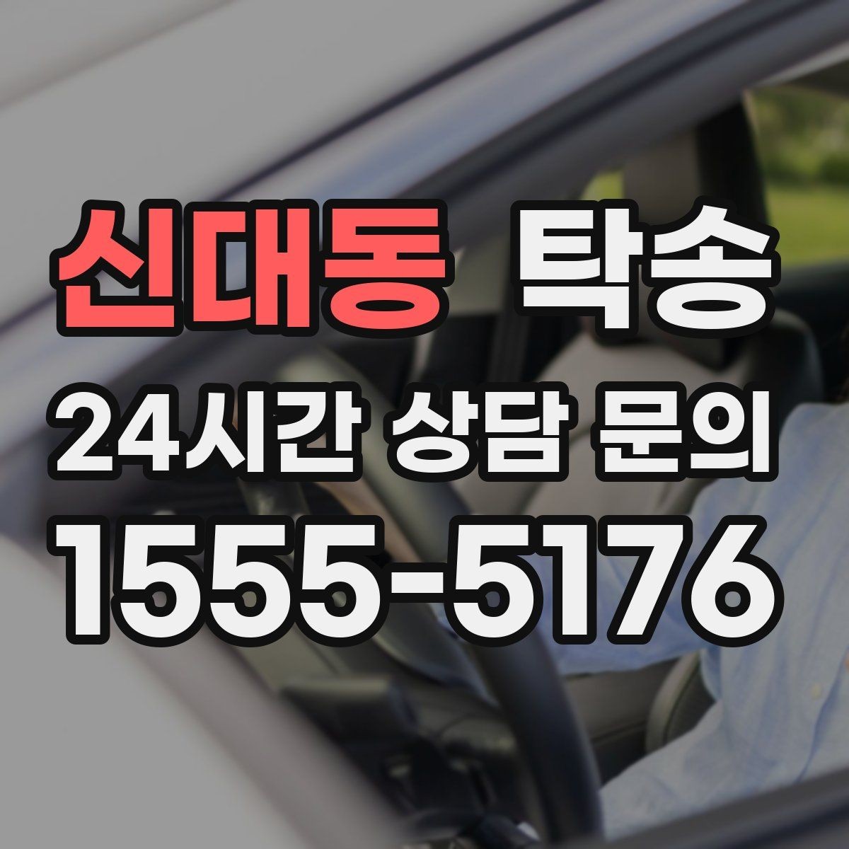 신대동 탁송 반려동물 동반 차량도 규정 내 진행