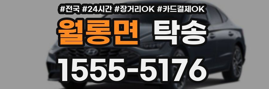 월롱면 탁송