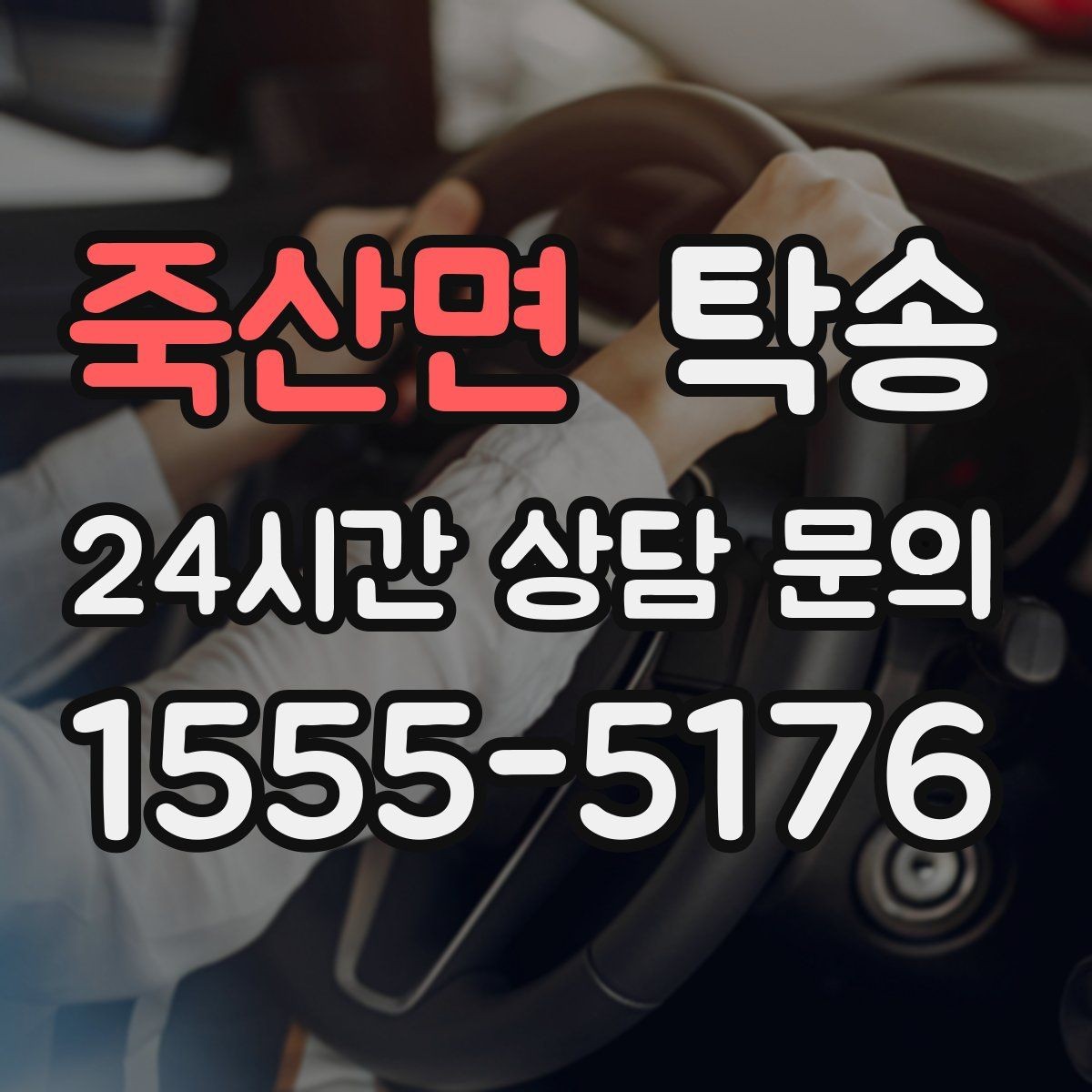 죽산면 탁송 반려동물 동반 차량 규정 내 안전 진행