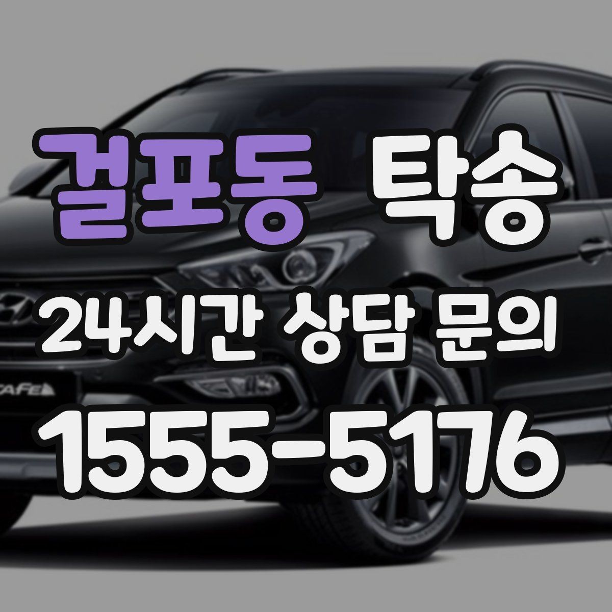 걸포동 탁송 반려동물 동반 차량도 규정 내 진행