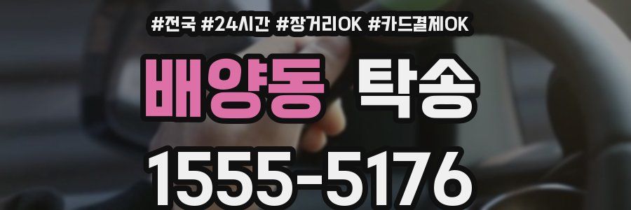 배양동 탁송
