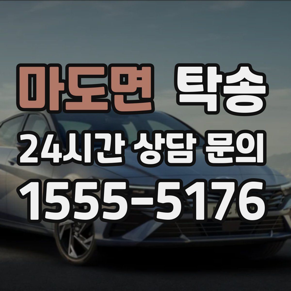 마도면 탁송 반려동물 동반 차량도 규정 내 진행