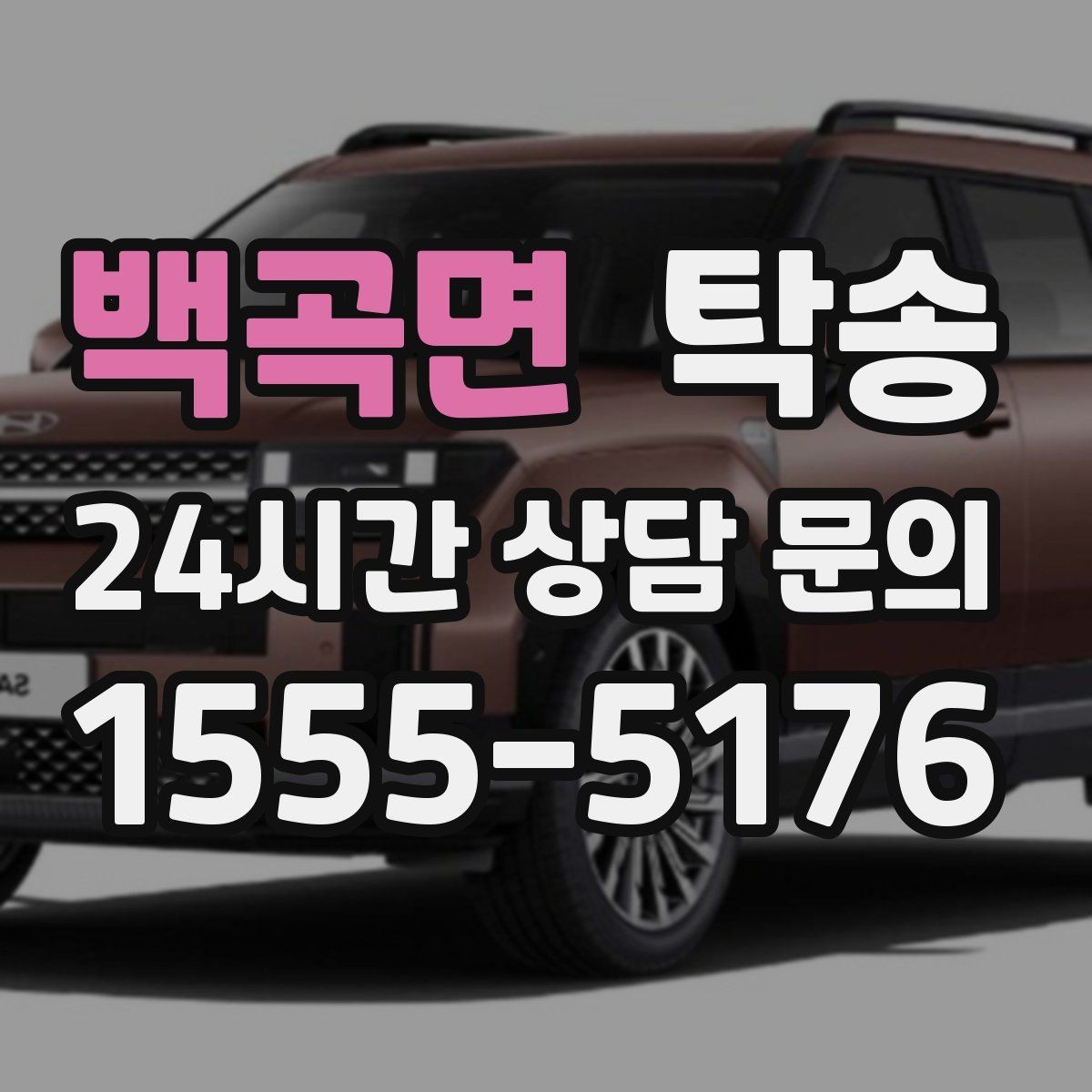 백곡면 탁송 전시장 뒷문 동선까지 체크하고 접근