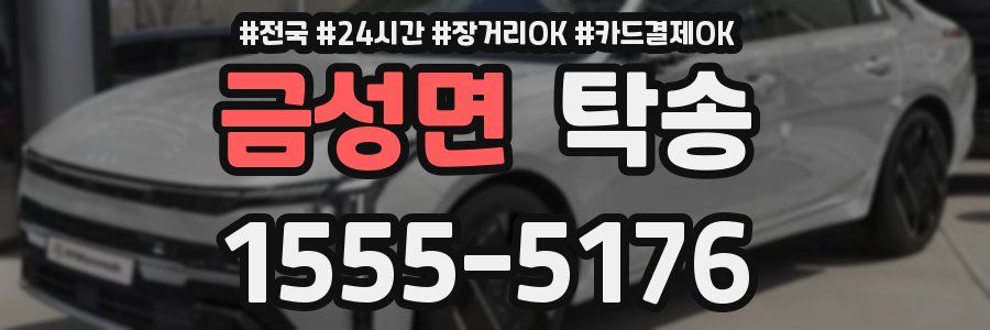 금성면 탁송